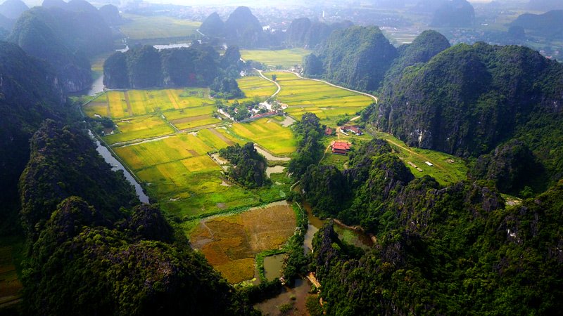 [-]Khách[-]Tây[-]ngỡ[-]ngàng[-]trước[-]vẻ[-]đẹp[-]Tam[-]Cốc[-]mùa[-]lúa[-]chín